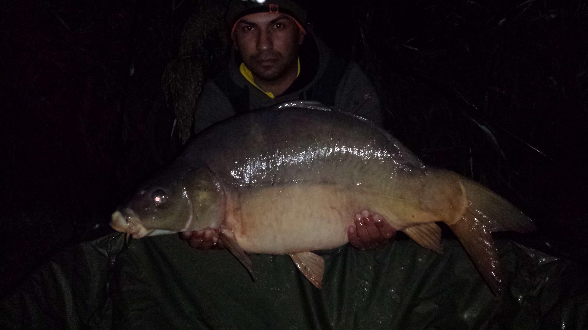 Harsany 2014 - 20141014034121.jpg